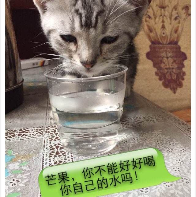 巴尔迪克学院物理学文凭证书
